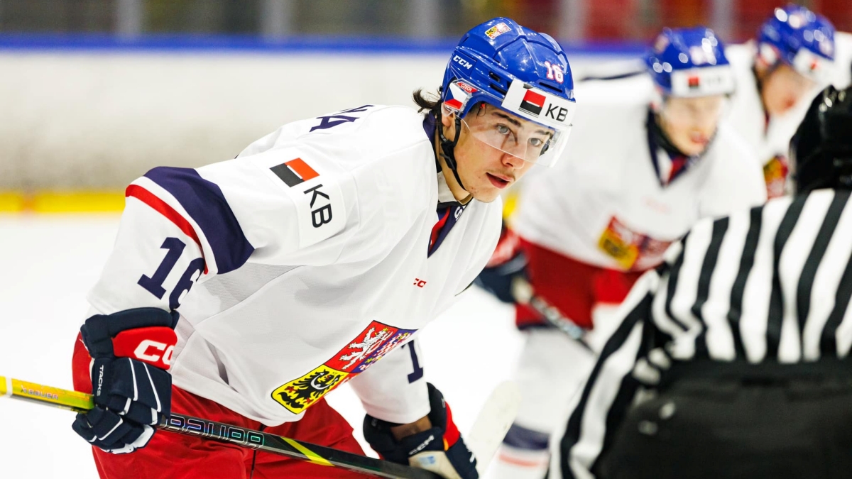 Slavné české hokejové jméno má z ostudy kabát. Čeká ho dlouhý trest