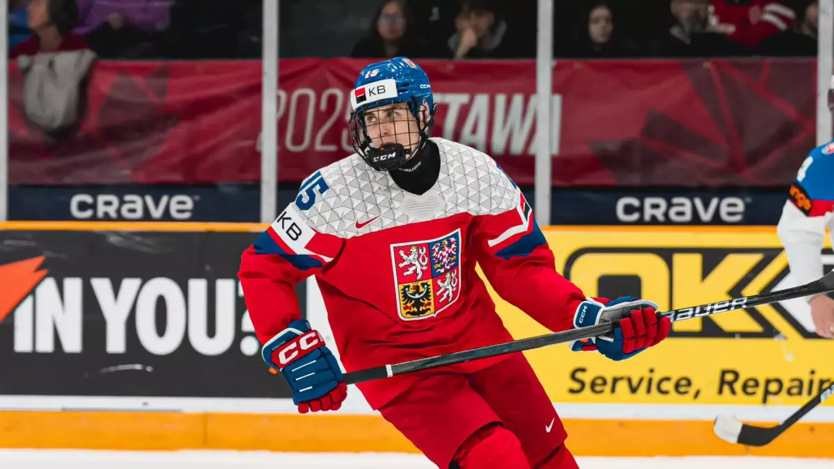 Český reprezentant má v NHL smlouvu na 60 milionů. V Los Angeles už se na pláži ukázala i jeho krásná Nela