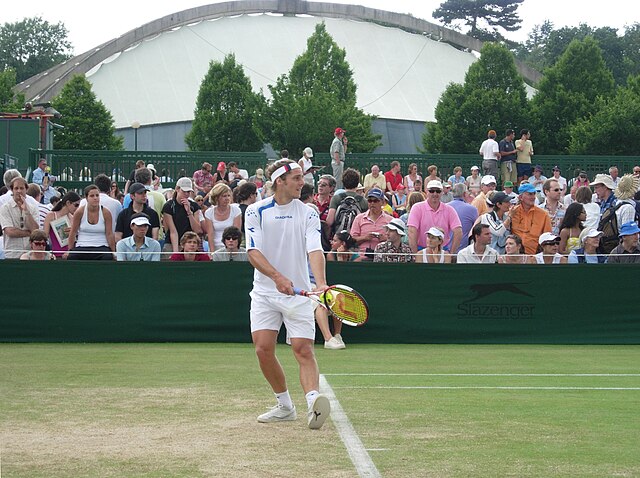 Zvládnete vyjmenovat outsidery, kteří ovládli grandslamy od roku 2000? Tenhle test většinu fanoušků rychle zchladí