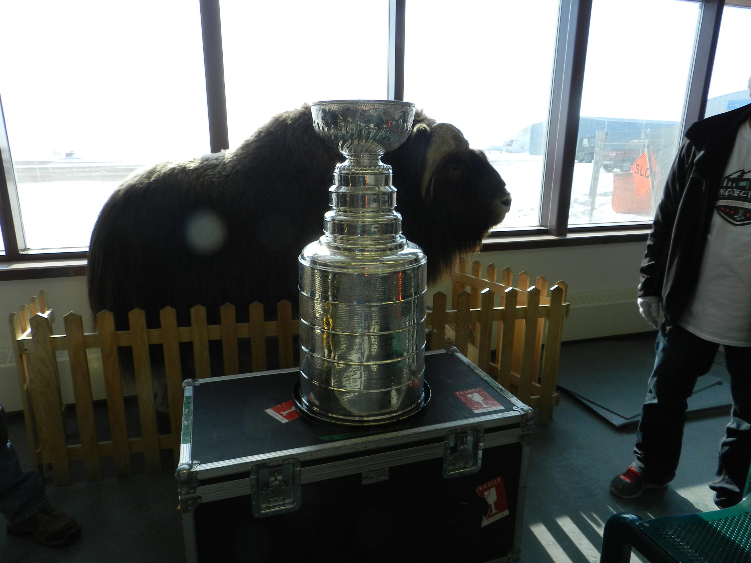 Finále Stanley Cupu, která skončila až v sedmém zápase. Kdo se vyzná, ten zná i momenty, které rozhodly