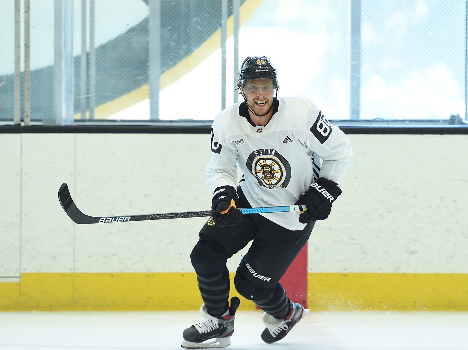 Zjistěte, kdo patří mezi nejbohatší české sportovce. Stačí pár jmen a rychle poznáte, jak moc jste mimo realitu