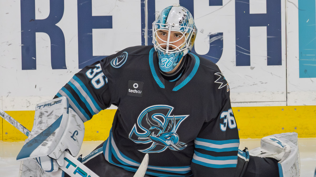 Reprezentační brankář Škarek a jeho marný boj o NHL. Rozhodl se pro návrat