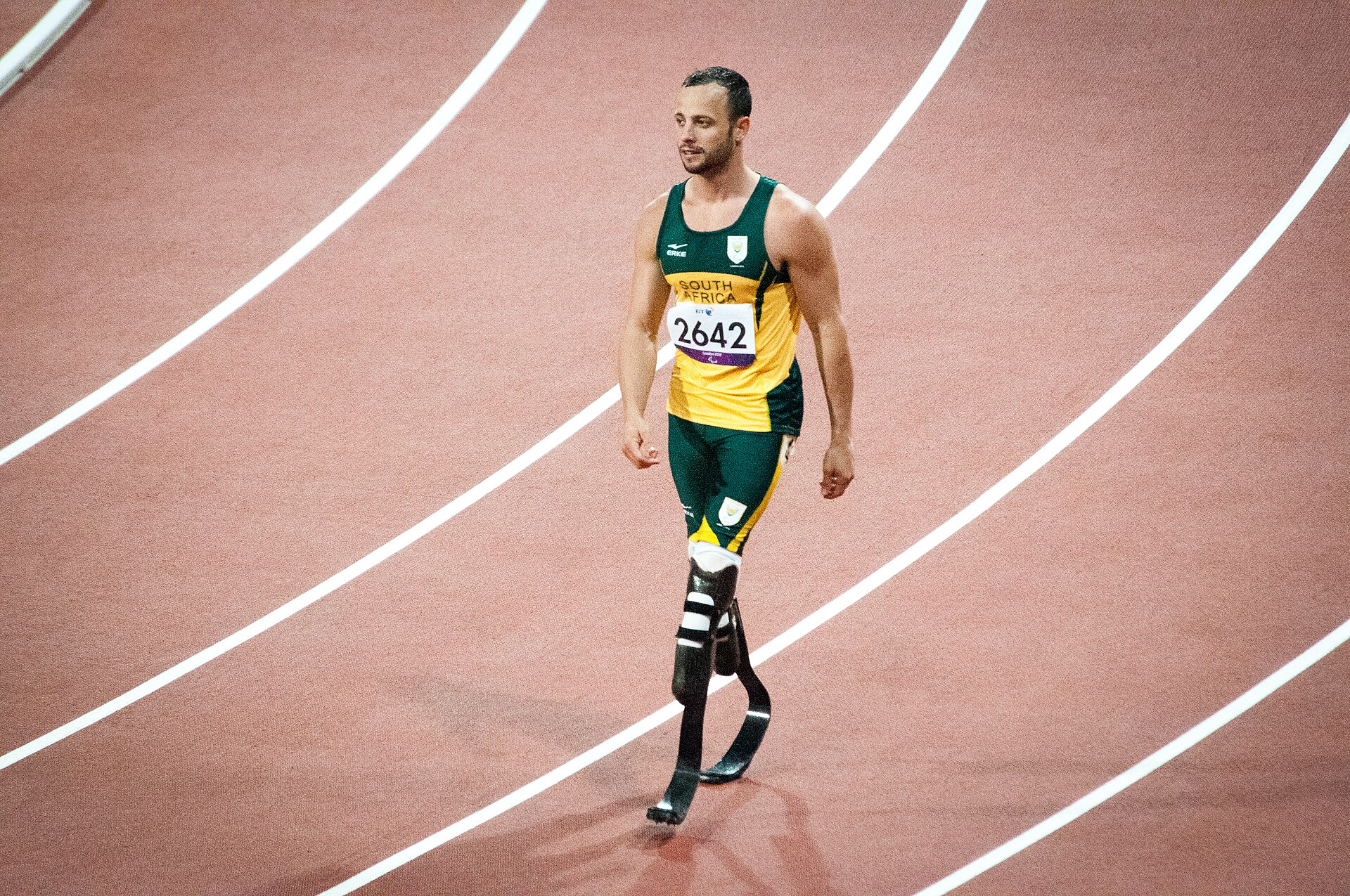 Pistorius si za vraždu přítelkyně odseděl necelých devět let. Dnes žije v ústraní s novou ženou a hlídacími psy